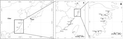 Identification of Main Oyster Species and Comparison of Their Genetic Diversity in Zhejiang Coast, South of Yangtze River Estuary